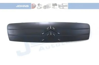 Решетка радиатора JOHNS купить