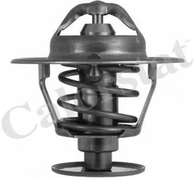 Термостат, охлаждающая жидкость CALORSTAT by Vernet купить