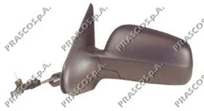 Наружное зеркало PRASCO купить