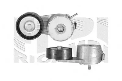 Натяжитель ремня, клиновой зубча AUTOTEAM купить