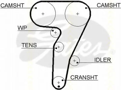 Ремень ГРМ TRISCAN купить