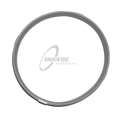 Прокладка, корпус впускного коллектора TRUCKTEC AUTOMOTIVE купить