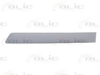 Облицовка / защитная накладка, дверь BLIC купить