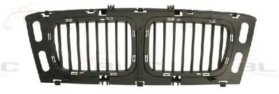 Решетка радиатора BLIC купить