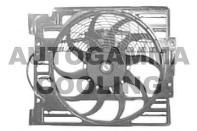 Вентилятор, охлаждение двигателя AUTOGAMMA купить