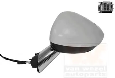 Наружное зеркало VAN WEZEL купить