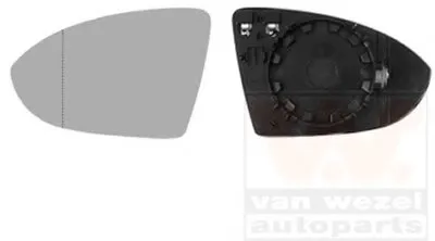 Зеркальное стекло, наружное зеркало VAN WEZEL купить