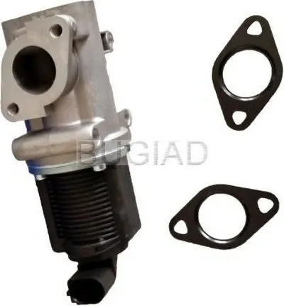 Клапан возврата ОГ BUGIAD купить