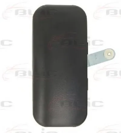 Ручка двери BLIC купить