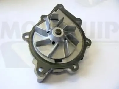 Водяной насос MOTAQUIP купить