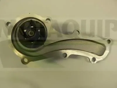 Водяной насос MOTAQUIP купить