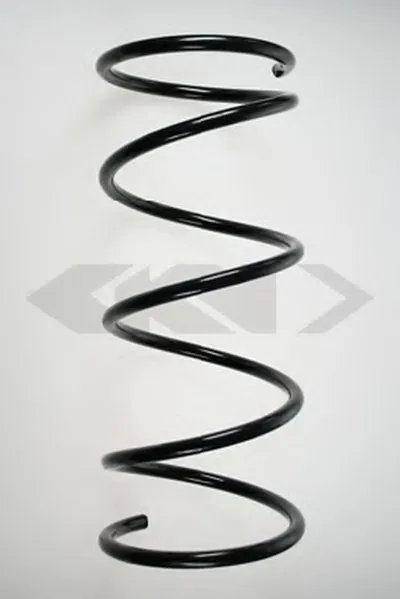 винтовая пружина SPIDAN купить