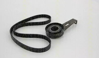 Поликлиновой ременный комплект TRISCAN купить