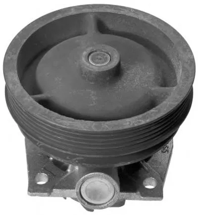 Водяной насос BUGATTI купить