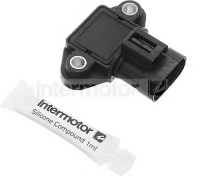 Блок управления, система зажигания Intermotor STANDARD купить