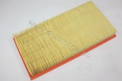 Воздушный фильтр AutoMega Premium AUTOMEGA купить