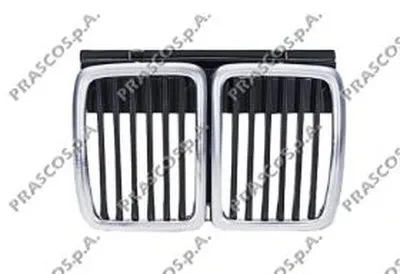 Решетка радиатора PRASCO купить