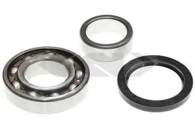 Комплект подшипника ступицы колеса SPIDAN купить