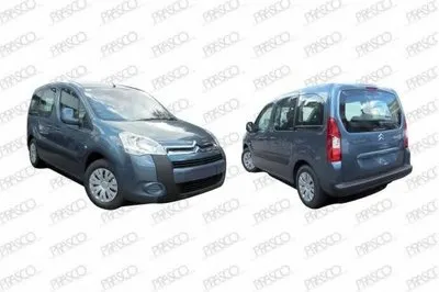 Ручка двери PRASCO купить