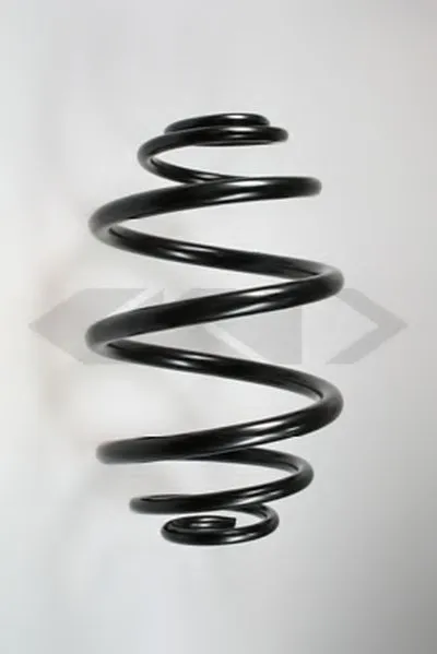 винтовая пружина SPIDAN купить