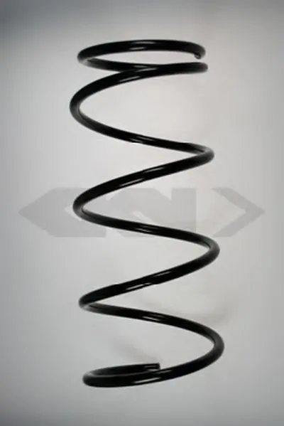 винтовая пружина SPIDAN купить