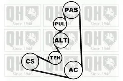 Поликлиновой ременный комплект QUINTON HAZELL купить