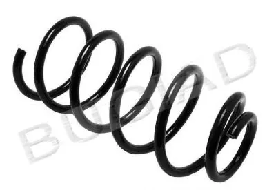 винтовая пружина BUGIAD купить