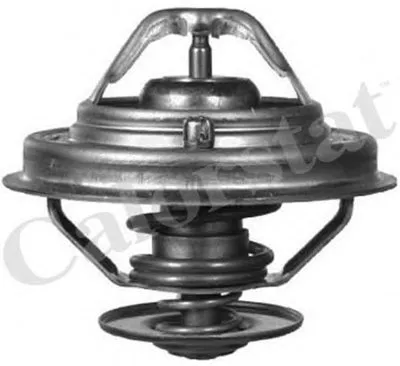 Термостат, охлаждающая жидкость CALORSTAT by Vernet купить