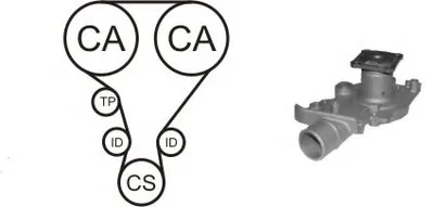 Водяной насос + комплект зубчатого ремня AIRTEX купить