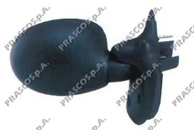 Наружное зеркало PRASCO купить