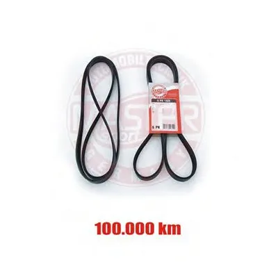 V-Ribbed Belts MASTER-SPORT купить