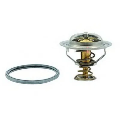 Термостат, охлаждающая жидкость FISPA купить