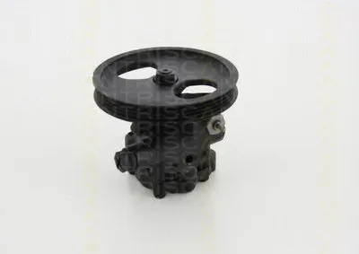 Гидравлический насос, рулевое управление TRISCAN купить