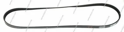 V-Ribbed Belts NPS купить