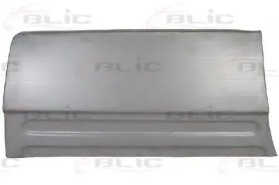 Дверь, кузов BLIC купить