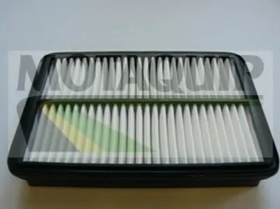 Воздушный фильтр MOTAQUIP купить