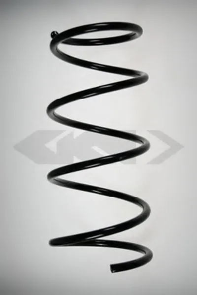 винтовая пружина SPIDAN купить