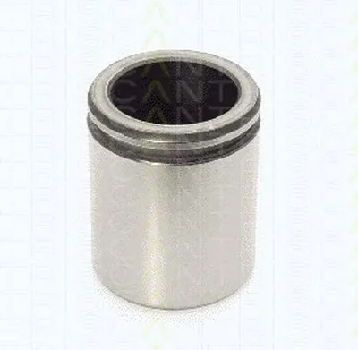 Поршень, корпус скобы тормоза TRISCAN купить