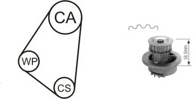 Водяной насос + комплект зубчатого ремня AIRTEX купить
