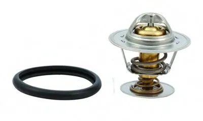 Термостат, охлаждающая жидкость HOFFER купить