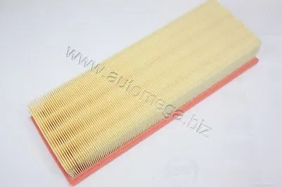 Воздушный фильтр AutoMega Premium AUTOMEGA купить