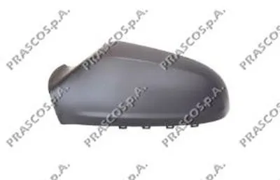 Покрытие, внешнее зеркало PRASCO купить