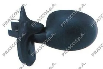 Наружное зеркало PRASCO купить