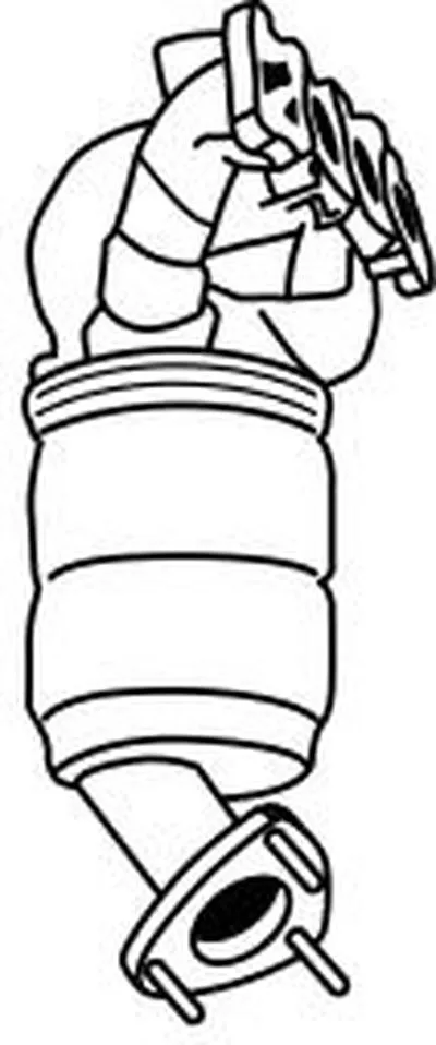 Катализатор для переоборудования SIGAM купить