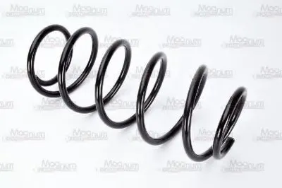 винтовая пружина Magnum Technology купить