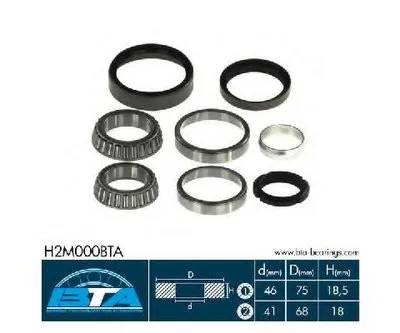 Комплект подшипника ступицы колеса BTA купить