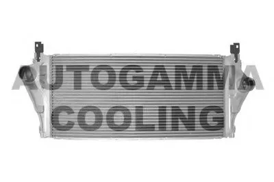 Интеркулер AUTOGAMMA купить