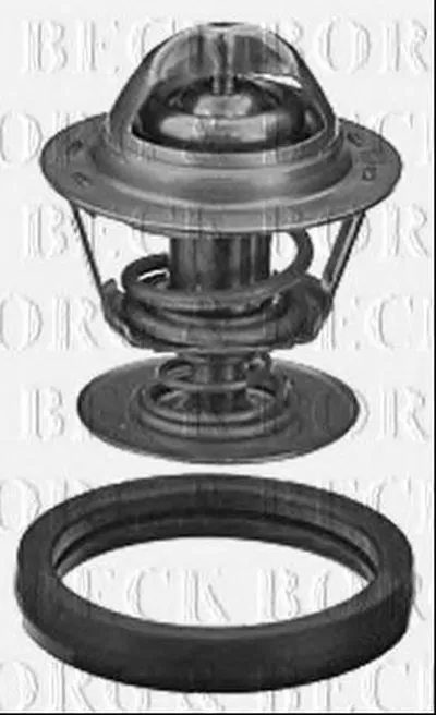 Термостат, охлаждающая жидкость BORG & BECK купить