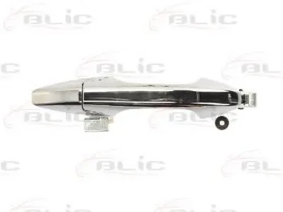 Ручка двери BLIC купить