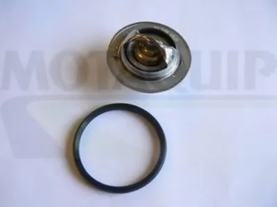 Термостат, охлаждающая жидкость MOTAQUIP купить